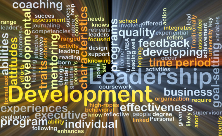 Leadership traits development