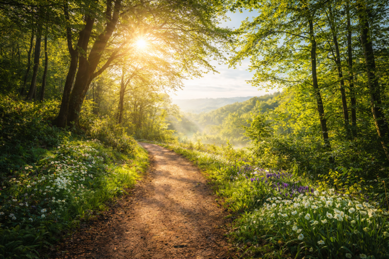 personal annual planning